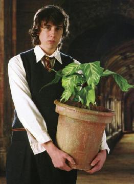 Neville, the Herbologist